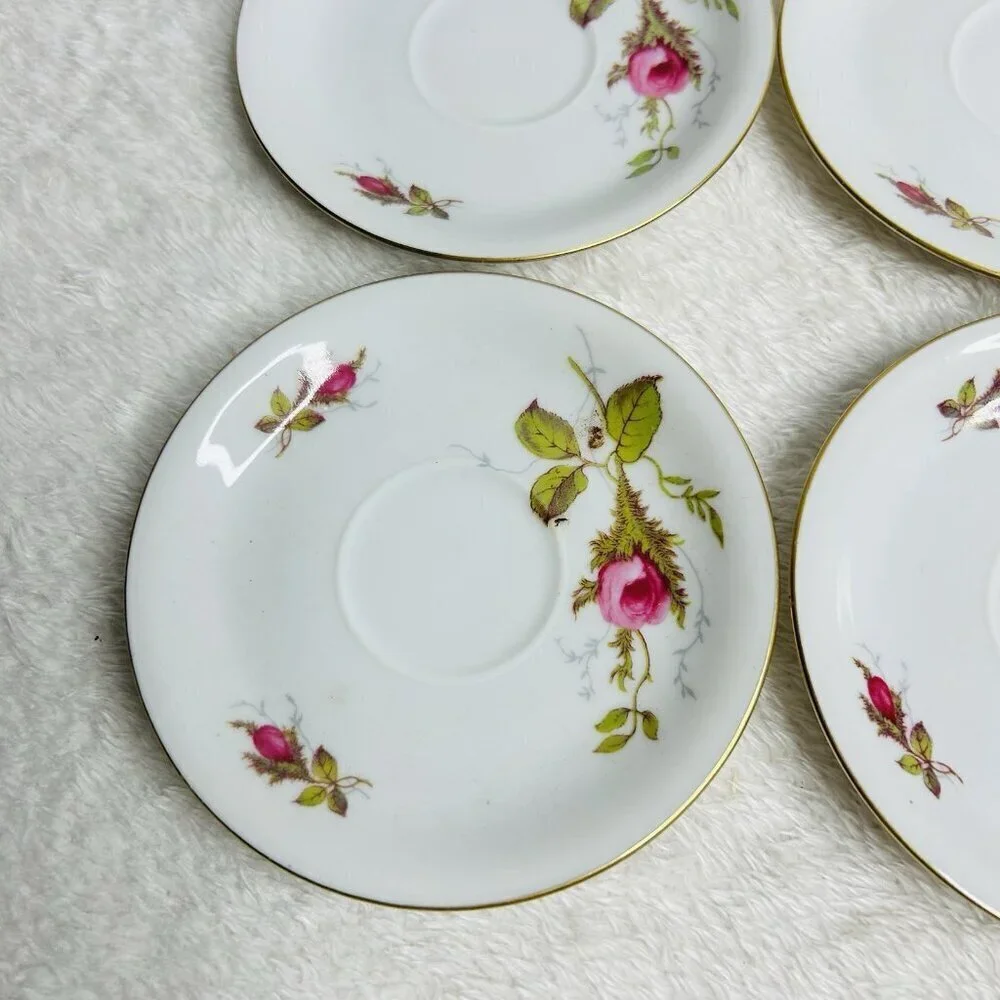 Eschenbach Bavaria Germany Moss Rose Demitasse Teacup Saucers Cream and Sugar